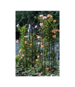 Dehner Premium Obelisk Odin 17 Dehner Premium Obelisk Odin -Dehner 2480069 2480093 2480119 WE MO 006 DehnerPremiumObeliskOdinRankhilfe