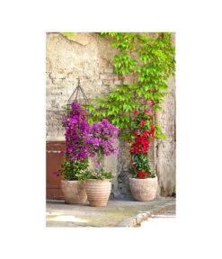 Dehner Premium Obelisk Odin 20 Dehner Premium Obelisk Odin -Dehner 2481976 2481596 2481927 WE MO 001 DehnerHalbobelisk