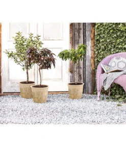 Terrakotta-Topf Grado, Rund, Antik-terrakotta 6 Terrakotta-Topf Grado, Rund, Antik-terrakotta -Dehner 2782613 WE MO 002 TerrakottaTopfGraffiato