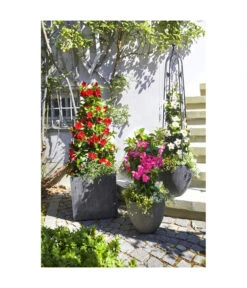 Dehner Polystone-Topf Brisbane In Riffeloptik, Rund 13 Dehner Polystone-Topf Brisbane In Riffeloptik, Rund -Dehner 3158847 3158870 3158888 3158995 3159092 3159126 WE MO 004 PolystoneTopfinRiffeloptikrundsand