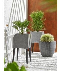 Dehner Polystone-Topf Brisbane In Riffeloptik, Rund 14 Dehner Polystone-Topf Brisbane In Riffeloptik, Rund -Dehner 3158847 3158870 3158888 WE MO 005 PolystoneTopfinRiffeloptik