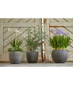 Dehner Polystone-Topf Kapstadt, Rund, Grau 9 Dehner Polystone-Topf Kapstadt, Rund, Grau -Dehner 3207990 3208022 WE MO 002 DehnerPolystoneTopfbauchiggrau