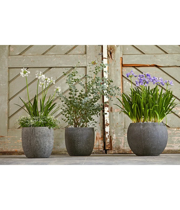 Dehner Polystone-Topf Kapstadt, Rund, Grau 4 Dehner Polystone-Topf Kapstadt, Rund, Grau – Bild 3