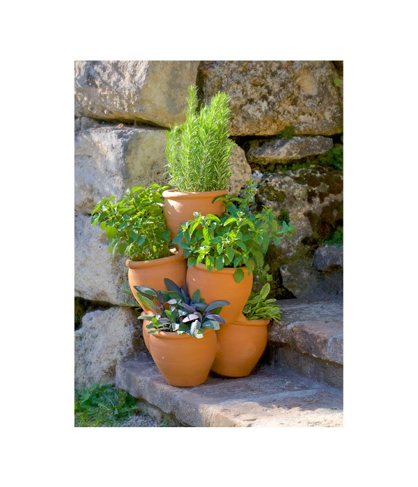 Dehner Terrakotta Kräuter-Etagere, Ca. Ø35/H47 Cm 4 Dehner Terrakotta Kräuter-Etagere, Ca. Ø35/H47 Cm – Bild 2