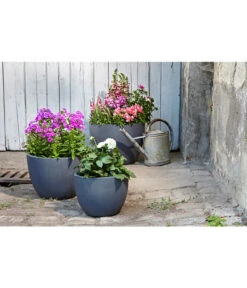 Dehner Leichtbeton-Pflanztopf Manchester, Rund, Antik-schwarz 10 Dehner Leichtbeton-Pflanztopf Manchester, Rund, Antik-schwarz -Dehner 3337151 3337169 3337136 3337144 WE MO 002 DehnerLeichtbetonPflanztopfantikschwarz