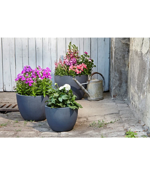 Dehner Leichtbeton-Pflanztopf Manchester, Rund, Antik-schwarz 5 Dehner Leichtbeton-Pflanztopf Manchester, Rund, Antik-schwarz – Bild 3