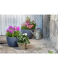 Dehner Leichtbeton-Pflanztopf Manchester, Rund, Antik-schwarz 11 Dehner Leichtbeton-Pflanztopf Manchester, Rund, Antik-schwarz -Dehner 3337151 3337169 3337136 3337144 WE MO 003 DehnerLeichtbetonPflanztopfantikschwarz