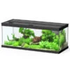 Dehner Aqua Premium Aquarium-Set ProLine 100, Schwarz, 160 L, Ca. B100/H40/T40 Cm 2 Dehner Aqua Premium Aquarium-Set ProLine 100, Schwarz, 160 L, Ca. B100/H40/T40 Cm -Dehner 4277224 WE FS 001 DehneAquaPremiumProLine100