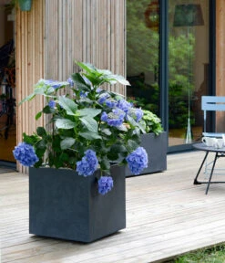 EDA-plastiques Kunststoff-Topf Basalt, Quadratisch, Anthrazit, Ca. B49,5/H49,5/T49,5 Cm 5 EDA-plastiques Kunststoff-Topf Basalt, Quadratisch, Anthrazit, Ca. B49,5/H49,5/T49,5 Cm -Dehner 6640460 WE MO 001 PflanzkuebelBasalt
