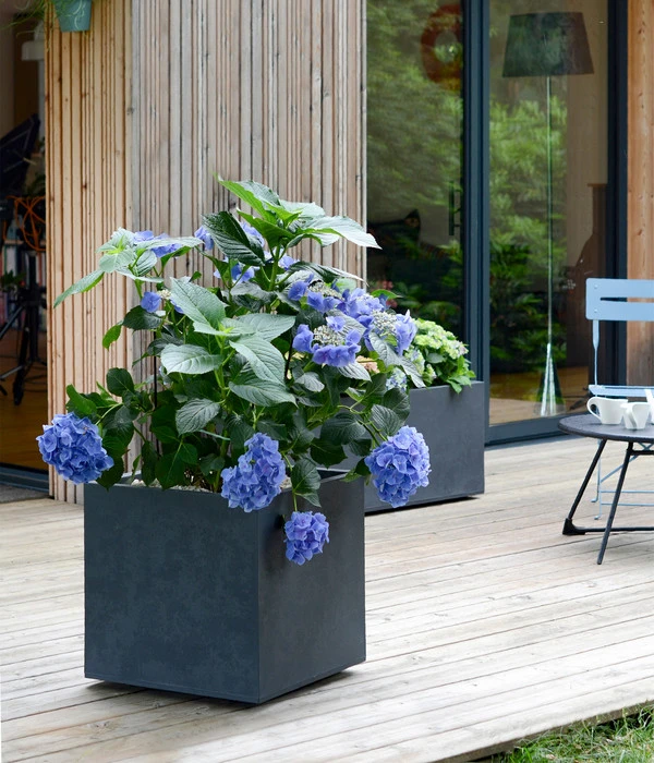 EDA-plastiques Kunststoff-Topf Basalt, Quadratisch, Anthrazit, Ca. B49,5/H49,5/T49,5 Cm 4 EDA-plastiques Kunststoff-Topf Basalt, Quadratisch, Anthrazit, Ca. B49,5/H49,5/T49,5 Cm – Bild 2