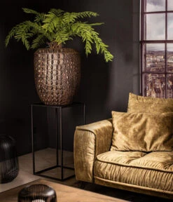 Fleur Ami Kunststoff-Topf Croc, Konisch, Bronze, Ca. Ø47/H56 Cm 8 Fleur Ami Kunststoff-Topf Croc, Konisch, Bronze, Ca. Ø47/H56 Cm -Dehner 6758999 WE MO 001 FleurAmiPflanzgefaessCroc