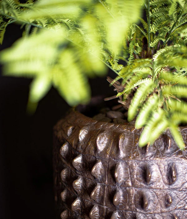 Fleur Ami Kunststoff-Topf Croc, Konisch, Bronze, Ca. Ø47/H56 Cm 5 Fleur Ami Kunststoff-Topf Croc, Konisch, Bronze, Ca. Ø47/H56 Cm – Bild 3