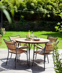 Cinas Stapelstuhl Ellen -Dehner 6843569 WE MO 001 StapelstuhlEllen