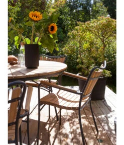 Cinas Stapelstuhl Ellen -Dehner 6843569 WE MO 002 EllenArmlehnstuhl