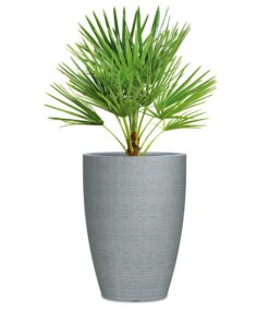 Scheurich Kunststoff-Topf Barceo High, Rund 12 Scheurich Kunststoff-Topf Barceo High, Rund -Dehner 6878946 WE FS 002 ScheurichBlumentopfBarecoHighGrau