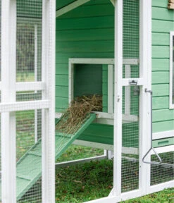 Dehner Hühnerstall Happy Farm Lotti, Hellgrün, Ca. B182/H119,5/T91 Cm 15 Dehner Hühnerstall Happy Farm Lotti, Hellgrün, Ca. B182/H119,5/T91 Cm -Dehner 6897052 WE DE 001 DehnerMarkenqualitaetHuehnerstallLotti