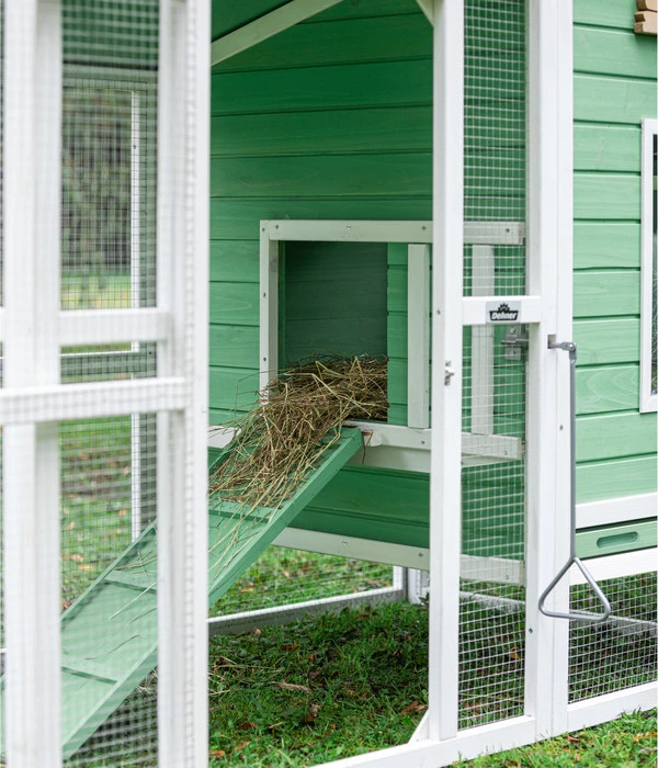 Dehner Hühnerstall Happy Farm Lotti, Hellgrün, Ca. B182/H119,5/T91 Cm 7 Dehner Hühnerstall Happy Farm Lotti, Hellgrün, Ca. B182/H119,5/T91 Cm – Bild 5