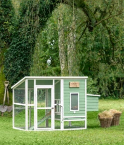 Dehner -Dehner 6897052 WE MO 001 DehnerMarkenqualitaetHuehnerstallLotti