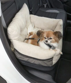 Dehner -Dehner 6909790 WE MO 001 DehnerLieblingeTransportsofa