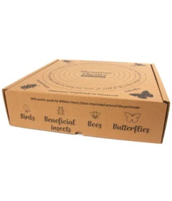 Wildlife Vogeltränke Shenstone, Hellgrün, Ca. Ø44,5/H12 Cm 16 Wildlife Vogeltränke Shenstone, Hellgrün, Ca. Ø44,5/H12 Cm -Dehner 6952410 WE DE 003 WildlifeShenstoneVogeltraenke