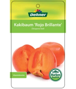 Dehner Kaki 'Rojo Brillante' - Kaki-Pflaume 'Rojo Brillante' 14 Dehner Kaki 'Rojo Brillante' - Kaki-Pflaume 'Rojo Brillante' -Dehner 7167414 KakiRojoBrillante Etikett 01