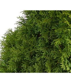 3 Meter Lebensbaum 'Smaragd', 6 X Ca. 150-175 Cm 11 3 Meter Lebensbaum 'Smaragd', 6 X Ca. 150-175 Cm -Dehner 7513534 WE DE 001 ThujaLebensbaumOccidentalisSmaragd20LDehnerExpressHerzig
