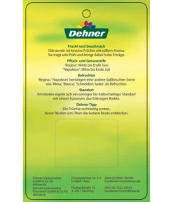 Kirschen-Duo 'Regina/Napoleon' -Dehner 7738792 Suesskirschen DuoReginaNapoleon Etikett 2