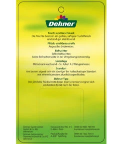 Zwetschge 'Kulinaria-Toptaste' 9 Zwetschge 'Kulinaria-Toptaste' -Dehner 7763881 ZwetscheKulinariaToptaste Etikett 2