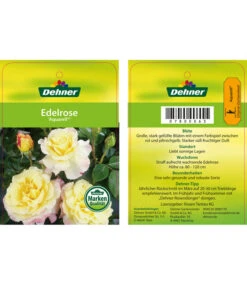 Edelrosen-Mix 'Nostalgie®' 27 Edelrosen-Mix 'Nostalgie®' -Dehner 7800063 AquarellEdelrose Etikett1