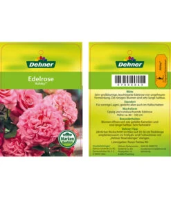 Edelrosen-Mix 'Nostalgie®' 28 Edelrosen-Mix 'Nostalgie®' -Dehner 7800063 AshleyEdelrose Etikett1