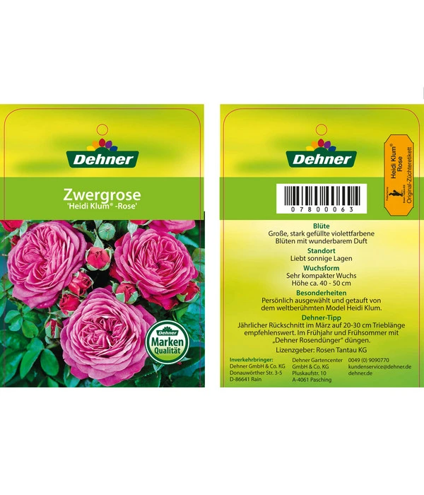 Edelrosen-Mix 'Nostalgie®' 17 Edelrosen-Mix 'Nostalgie®' – Bild 15