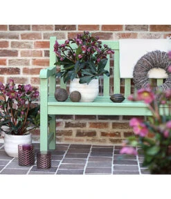 Schneerose 'Ice N' Roses® Red' - Helleborus Gold Collection® -Dehner 8010969 WE MO 001 HelleborusWeinrotDehnerExpressHerzig