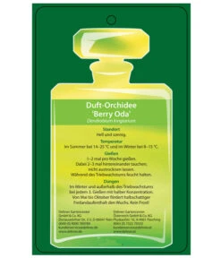 Duft-Traubenorchidee - Dendrobium Kingianum 'Berry' -Dehner 8250714 DuftorchideeBeryyOdaEtikett2