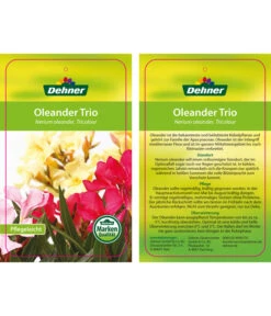 Oleander-Trio 13 Oleander-Trio -Dehner 8590291 8596843 NeriumoleanderTrio 01 12 17
